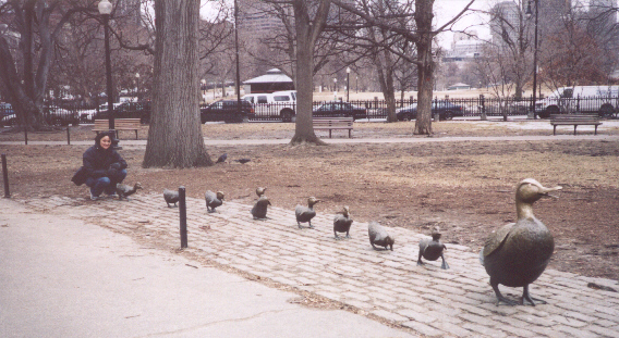 Make Way for Ducklings